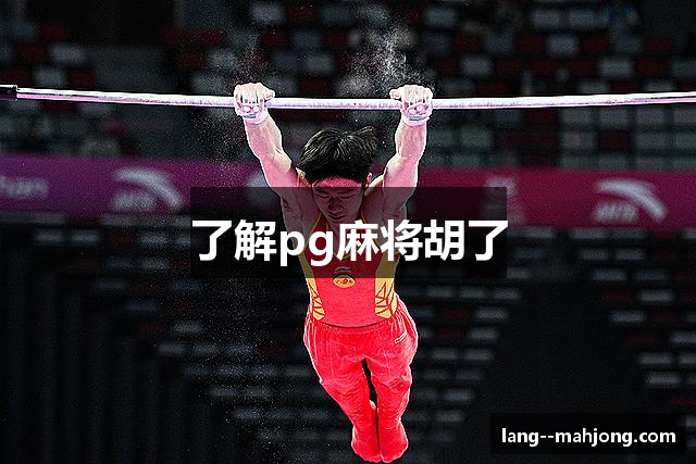 了解pg麻将胡了